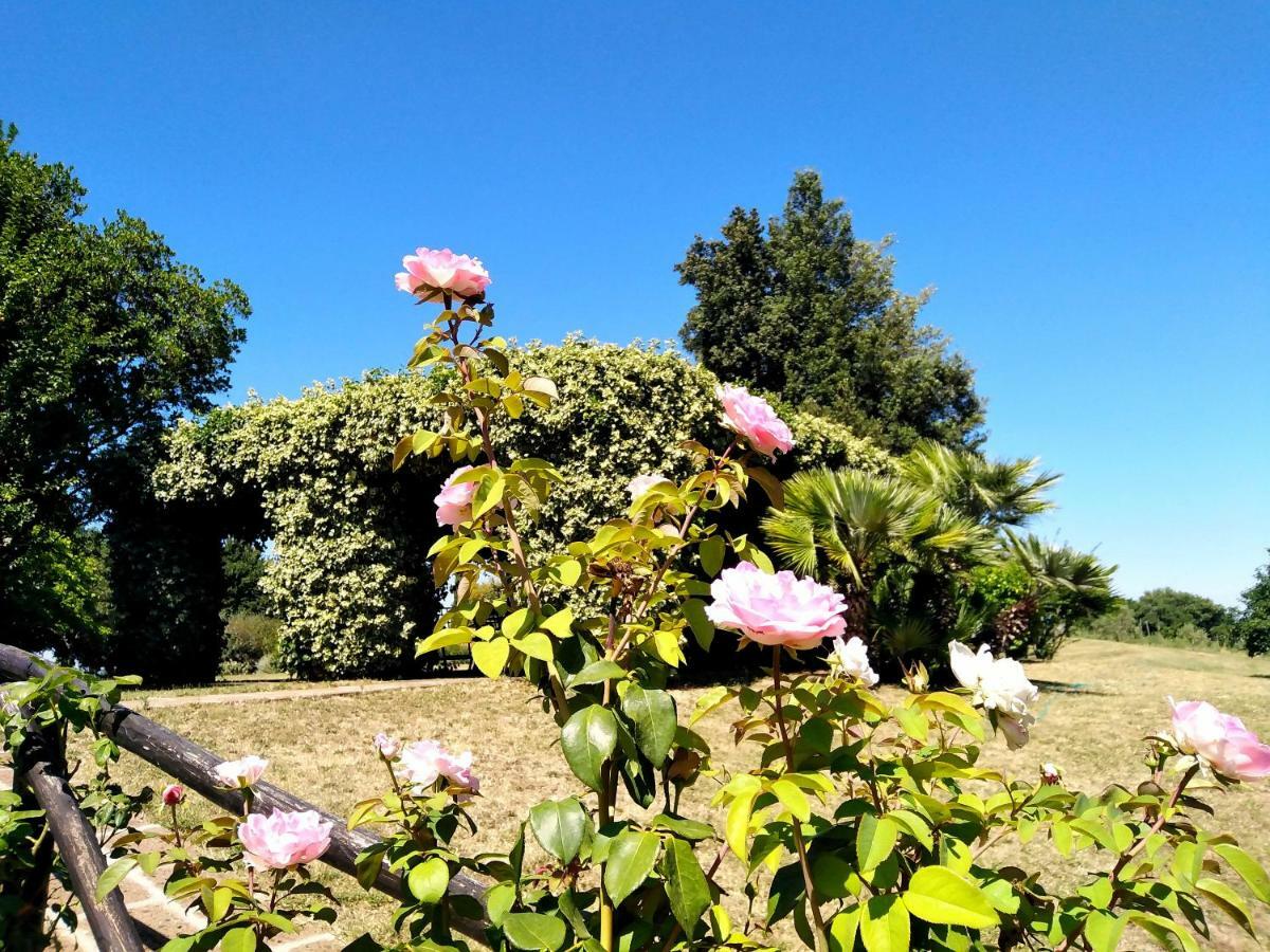 Locanda Rosati Orvieto Luaran gambar